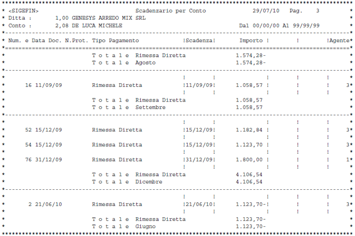 Scadenzario per Conto in formato pdf