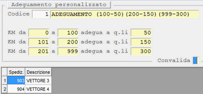 Window Adeguamento Personalizzato